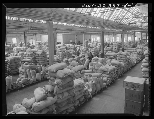 Interior of the bulk seed warehouse at the W. Atlee Burpee Company, seed dealers