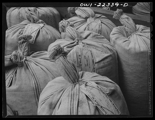 Philadelphia, Pennsylvania. Bags of seed to be sent to Eire (Ireland) at the W. Atlee Burpee Company, seed dealers