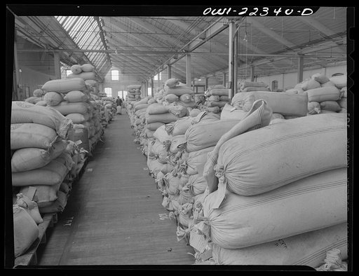 Untitled photo, possibly related to: Philadelphia, Pennsylvania. Bulk seed in a warehouse at the W. Atlee Burpee Company, seed dealer
