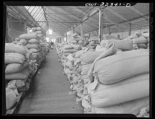 Philadelphia, Pennsylvania. Bulk seed in a warehouse at the W. Atlee Burpee Company, seed dealer