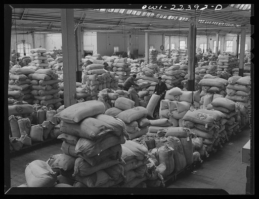 Philadelphia, Pennsylvania. Bulk storage of seeds at the W. Atlee Burpee Company, seed dealers