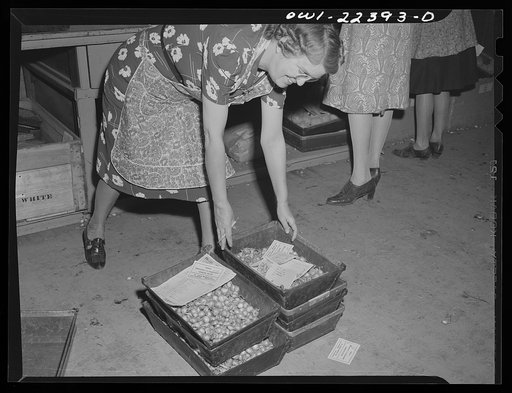 Philadelphia, Pennsylvania. Assembling a bulb order at the W. Atlee Burpee Company, seed dealers