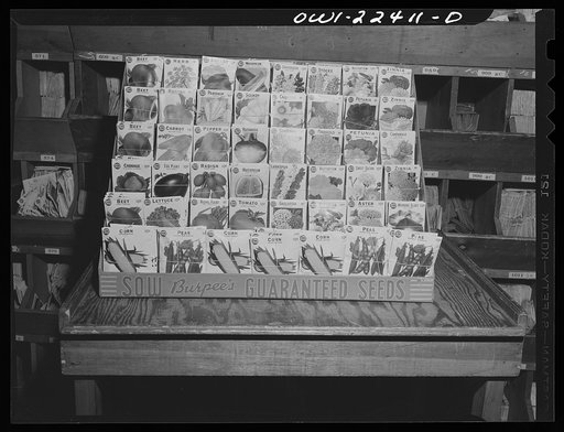 Philadelphia, Pennsylvania. Burpee seed display rack