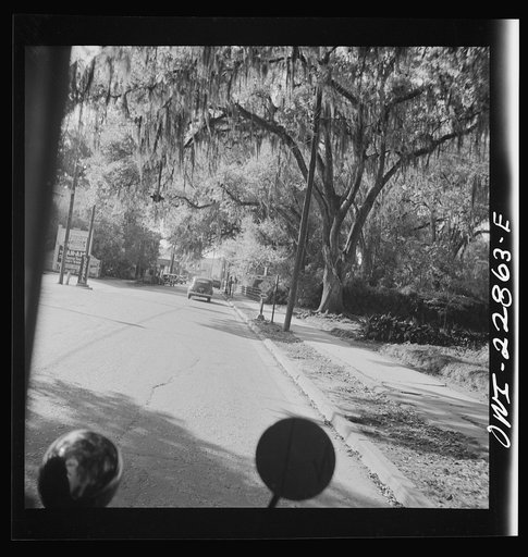 Untitled photo, possibly related to: New Iberia, Louisiana