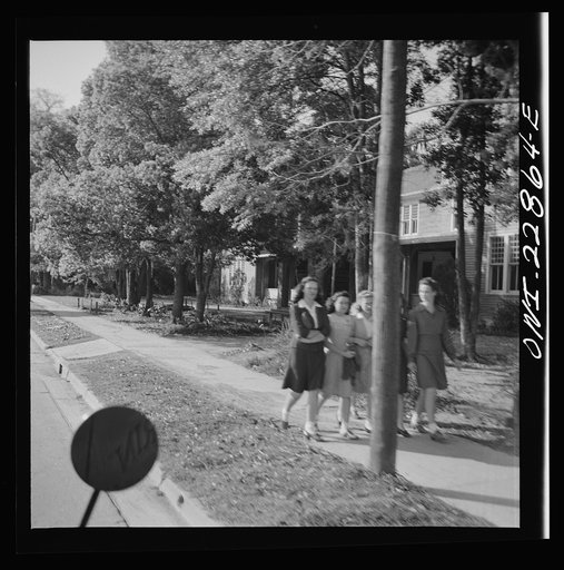 Untitled photo, possibly related to: New Iberia, Louisiana