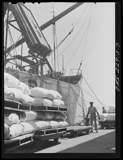 Untitled photo, possibly related to: New Orleans, Louisiana. Loading sacks of flour onto a ship at the Poydras Street dock