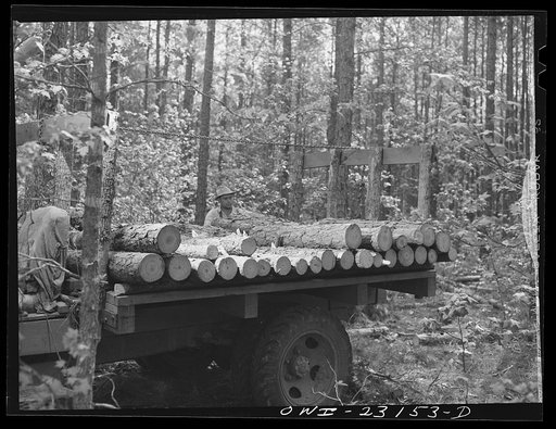 Untitled photo, possibly related to: Nacogdoches, Texas. "Flathead" loading truck with pulpwood for the Southland paper mill