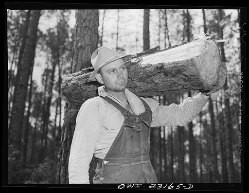 Nacogdoches County, Texas. "Flathead" loading truck with pulpwood for the Southland paper mill