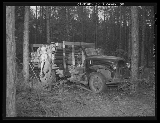 Untitled photo, possibly related to: Lufkin, Texas. Southland paper mill. Unloading a truck of pulpwood in the woodyard