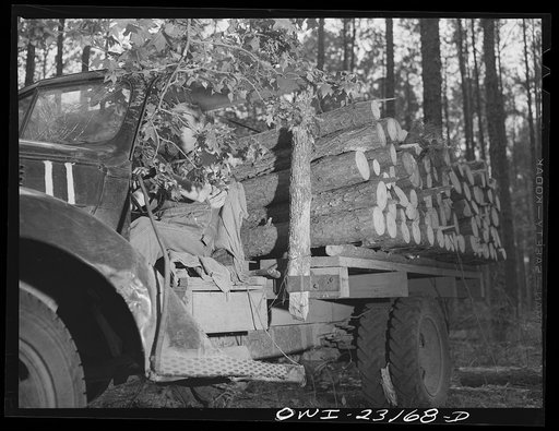 Untitled photo, possibly related to: Lufkin, Texas. Southland paper mill. Unloading a truck of pulpwood in the woodyard