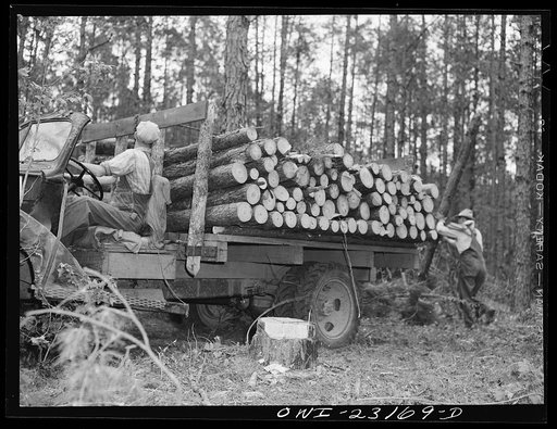 Untitled photo, possibly related to: Lufkin, Texas. Southland paper mill. Unloading a truck of pulpwood in the woodyard