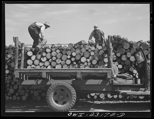 Lufkin, Texas. Southland paper mill. Unloading a truck of pulpwood in the woodyard
