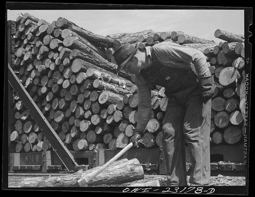 Lufkin, Texas. Southland paper mill. Putting logs on a conveyor belt which carries them to a barking machine