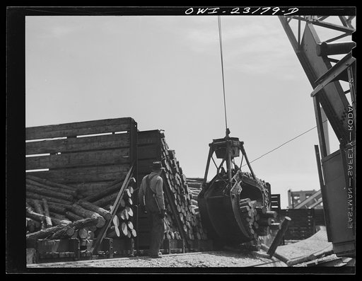 Untitled photo, possibly related to: Lufkin, Texas. Southland paper mill. Crane unloading flat car of pulpwood in the wood yard