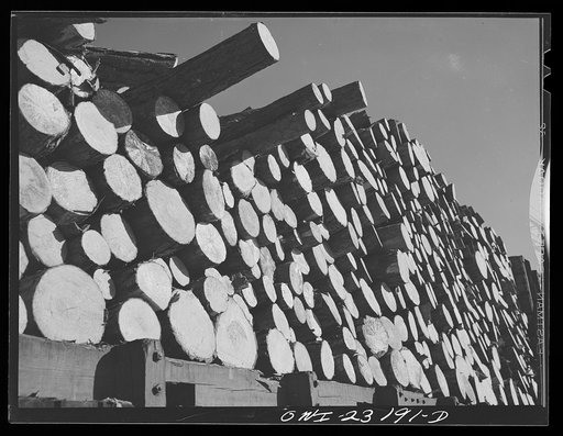 Lufkin, Texas. Southland paper mill. Trainload of pulpwood in the woodyards