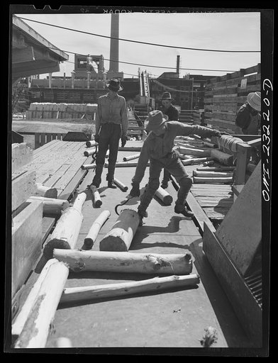 Lufkin, Texas. Southland paper mill. Logs which did not come through clean enough being sent back into the barking machine