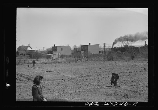 Untitled photo, possibly related to: Washington, D.C. A victory garden, on Fairlawn Avenue, Southeast