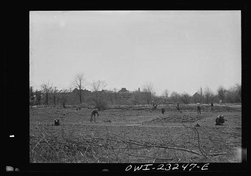 Untitled photo, possibly related to: Washington, D.C. Site of a victory garden on Fairlawn Avenue, Southeast, before the ground was cleared