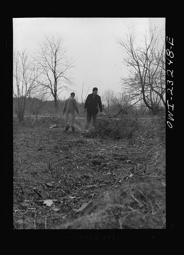 Untitled photo, possibly related to: Washington, D.C. Site of a victory garden on Fairlawn Avenue, Southeast, before the ground was cleared