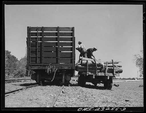 Nacogdoches County, Texas. Truck load of pulpwood being transferred to railroad flat cars for shipment to the Southland paper mill