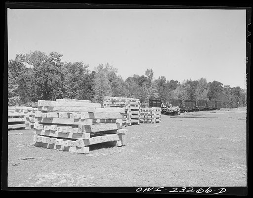 Nacogdoches County, Texas. Railroad ties at the siding