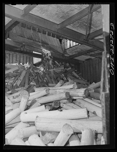 Lufkin, Texas. Southland paper mill. The lumber room is filled with enough barked logs from the wood yard during the day so that operations in the grinding room and on the paper machine can go on all night
