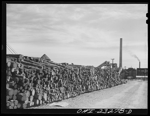 Lufkin, Texas. Southland Paper mill. Four foot pulp logs in storage at the wood yard