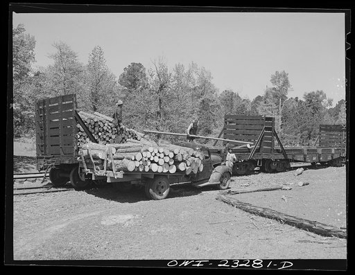 Nacogdoches County, Texas. Truck load of pulpwood being transferred to railroad flat cars for shipment to the Southland paper mill
