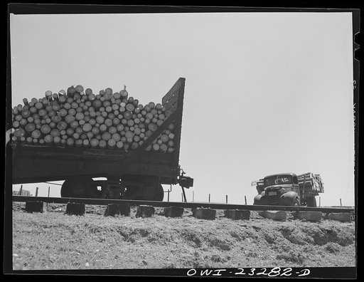 Nacogdoches County, Texas. Truck load of pulpwood being transferred to railroad flat cars for shipment to the Southland paper mill