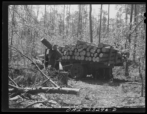 Nacogdoches County, Texas. Loading a truck with pulpwood for the Southland paper mill