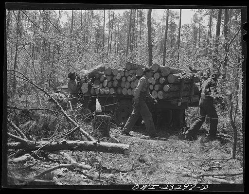 Untitled photo, possibly related to: Nacogdoches County, Texas. Loading a truck with pulpwood for the Southland paper mill