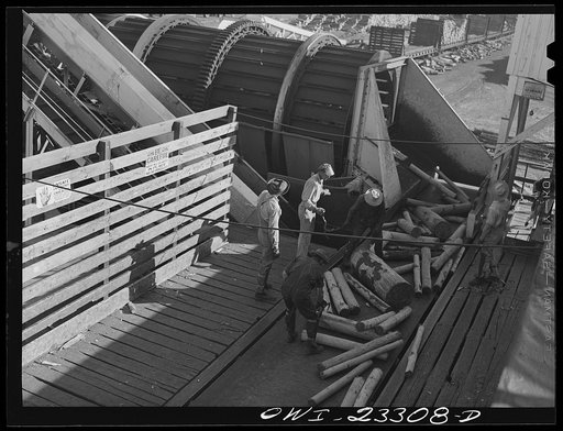 Lufkin, Texas. Southland paper mill. Logs coming out of the barking machine. Those not barked clean through are sent up the conveyor at the left to go through the machine again