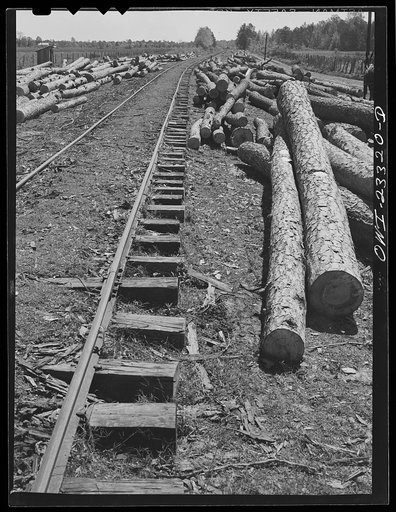 Nacogdoches County, Texas. Sawed logs along a railroad siding
