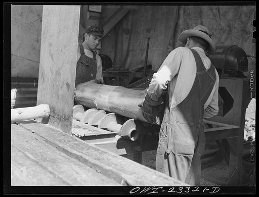 Lufkin, Texas. Southland paper mill. Log on the knotting machine. After the bark has been removed the knots are cut out of pulp logs. This reduces the pitch content of the pulp