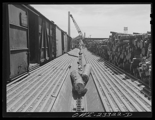 Lufkin, Texas. Southland paper mill. Logs being conveyed from the woodyard to the barking machine