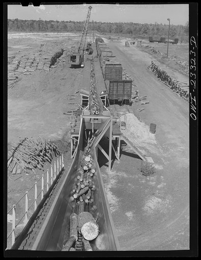 Lufkin, Texas. Southland paper mill. Logs being conveyed from the woodyard to the barking machine