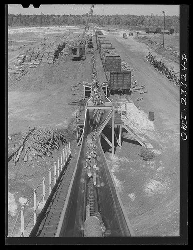 Untitled photo, possibly related to: Lufkin, Texas. Southland paper mill. Logs being conveyed from the woodyard to the barking machine