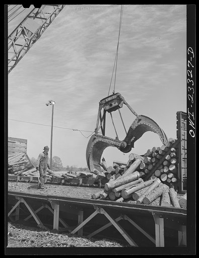 Untitled photo, possibly related to: Lufkin, Texas. Southland paper mill. Crane unloading flat car of pulpwood in the wood yard