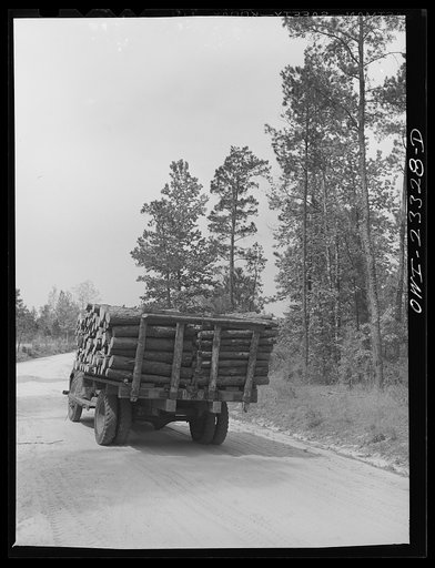 Nacogdoches County, Texas. Truckload of pulp logs bound for the Southland paper mill