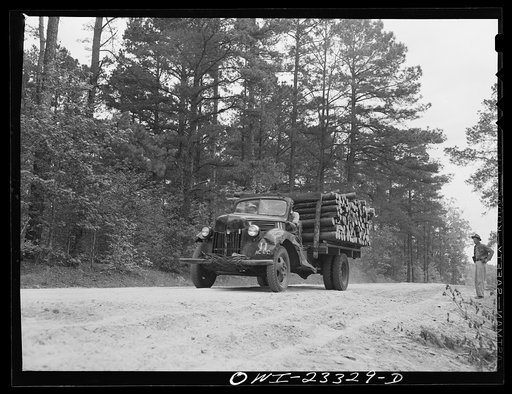 Nacogdoches County, Texas. Truckload of pulp logs bound for the Southland paper mill