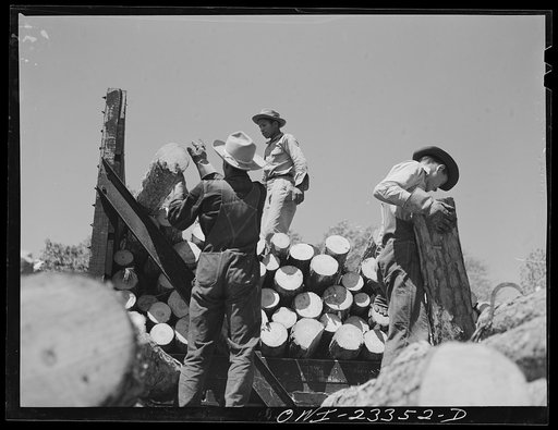 Nacogdoches County, Texas. Loading pulpwood from a truck onto a flat car
