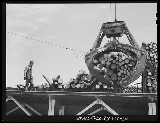 Lufkin, Texas. Southland paper mill. Crane unloading pulp logs from a flat car