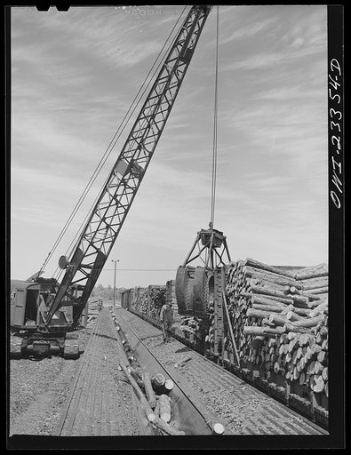 Lufkin, Texas. Southland paper mill. Crane unloading pulp logs from a flat car