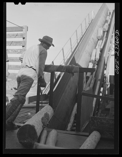 Untitled photo, possibly related to: Lufkin, Texas. Southland paper mill. Logs being conveyed from the woodyard to the barking machine
