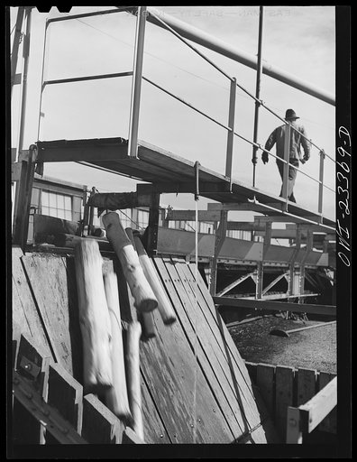 Lufkin, Texas. Southland paper mill. Barked logs falling into a wood bin where they are stored until ready for the grinding machine