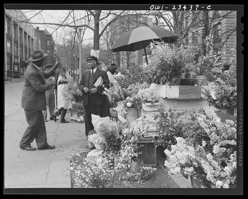 Untitled photo, possibly related to: Washington, D.C. Easter flower stand