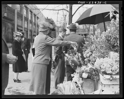 Untitled photo, possibly related to: Washington, D.C. Easter flower stand