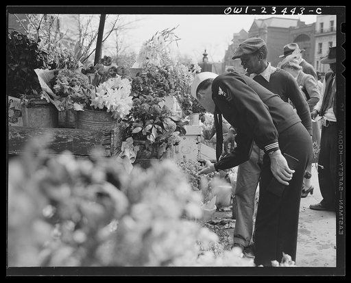 Untitled photo, possibly related to: Washington, D.C. Easter flower stand