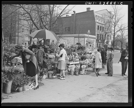 Untitled photo, possibly related to: Washington, D.C. Easter flower stand