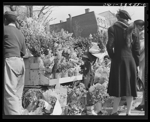 Untitled photo, possibly related to: Washington, D.C. Easter flower stand